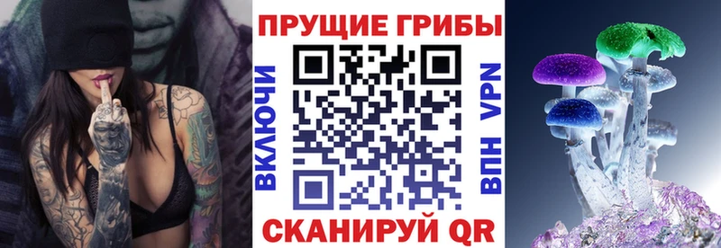 Галлюциногенные грибы Psilocybine cubensis  Купить  Усолье 